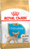 pu_chihuahua_packshot_bhn18_high_res._print_62813_1