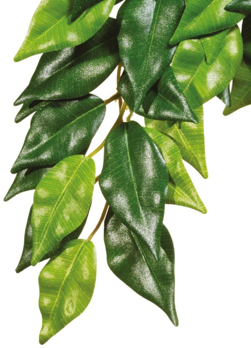 Exo Terra Тропическое растение EX Jungle Plants пластиковое Фикус среднее 55х25 см PT3040
