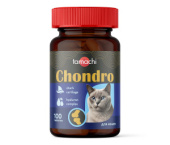 t701_tamachi_chondro.jpg