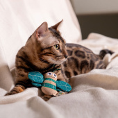 Triol Игрушка для кошек "Необыкновенный шмель", 120мм, серия LOVE THE PLANET