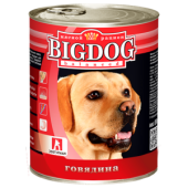 BigDog_0249-500x500