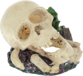BARBUS Аквариумный декор череп 8*8*6,5 см