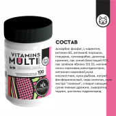 Secret VitaLine Sterilized лакомство для стерилизованных кошек и котов, 100 таб.