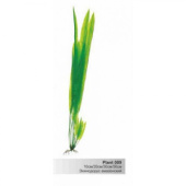 BARBUS 009/30 см Plant зеленое растение