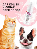 a9gx6t600z7l4lfpzpku4qakwcz6npn1