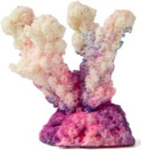 Россия Коралл рога, 5,5*3,5*5 (фиолетовый, Кс-604)