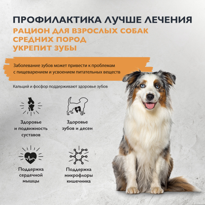 Brit Care Superpremium Dog Adult M с индейкой для взрослых собак средних пород, Здоровые зубы, 1,5 кг, 3 кг., 12 кг