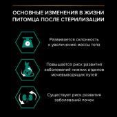 9a64e258-7b45-11ef-b9f7-36eea466b024_yoymw2lo9u3trut0