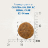 Лечебные корма для собак