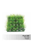 plant060