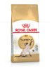 Royal Canin Siamese 38, Сухой корм для взрослых кошек сиамской и ориентальной породы,400 гр, 2 кг