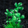 Пижон Аква Растение искусственное аквариумное, 10 см, зелёное