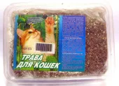 Россия Травка для кошек в большом контейнере Котенок