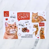 Россия Коврик под миску «А кто это всё съел» 43 × 28 см