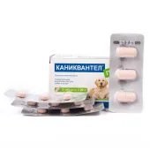 Евракон Фарма ГмбХ Каниквантел Плюс XL 1 блистер (3 таблетки)