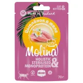 Molina Пауч для котят и кошек Цыпленок в желе, 70 г