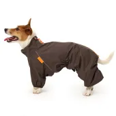 LionPets Дождевик ДЖЕК РАССЕЛ LP-9226-53 на мальчика Цвет: Графитовый