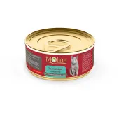 Molina Натуральное Мясо консервы (Цыпленок с манго в соусе) 80 г