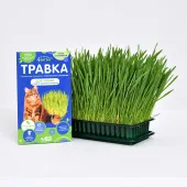 АВЗ Четыре с хвостиком® травка для кошек и других домашних любимцев
