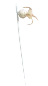 Алиса Дразнилка для кошек "Шарик" 48 × 10 см